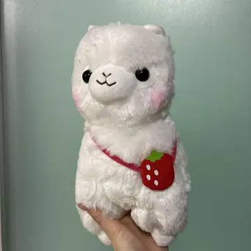 알파카 스트로베리 시로짱 알파카 봉제 인형 딸기 포함