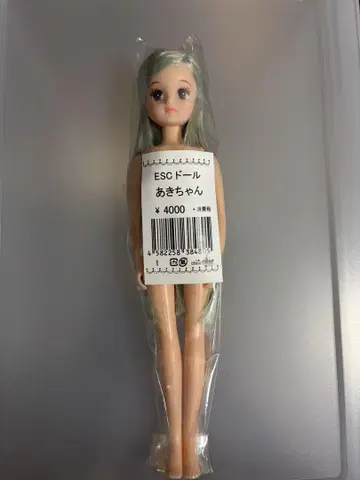 리카짱 캐슬 즐거운 인형 아키짱 공주 컷