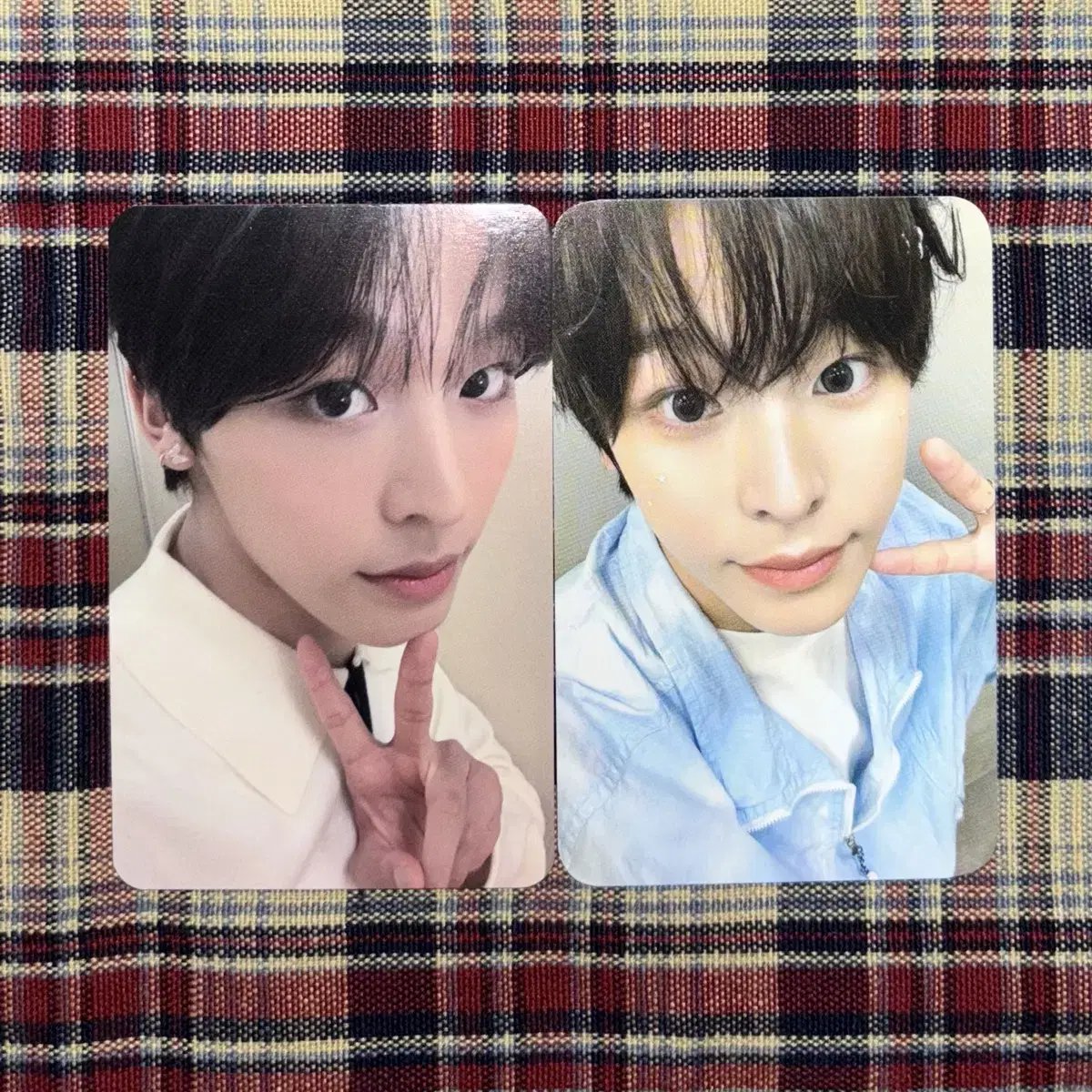 엔시티 위시 리쿠 포카 일괄