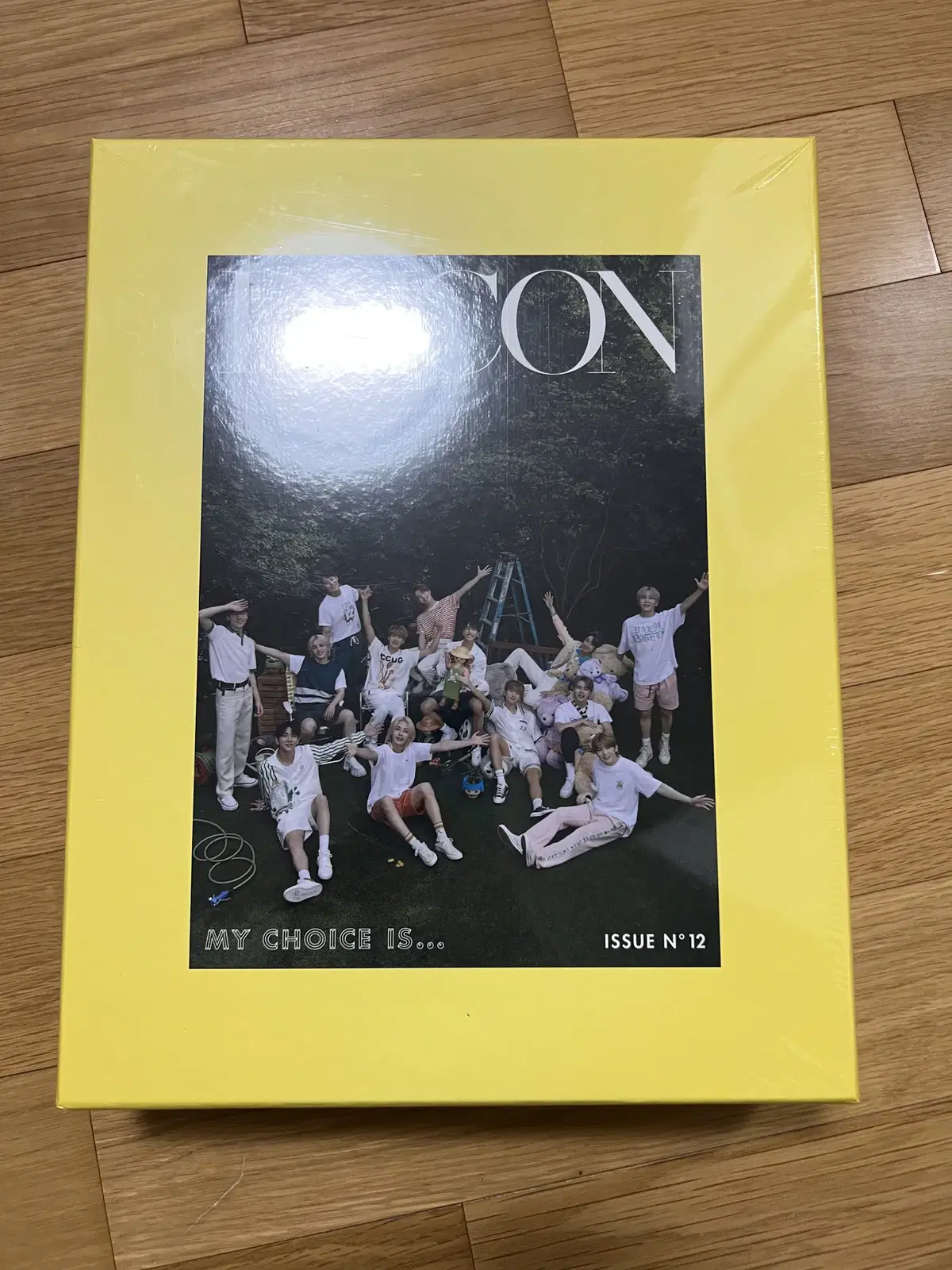 세븐틴 디아이콘 판매