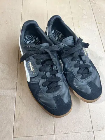 푸마 팔레르모 24.5cm