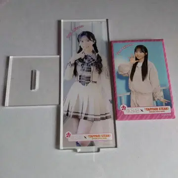 아키야마 유나 랜덤 캔배치 아크릴 스탠드 AKB48 역시 스테이크 콜라보