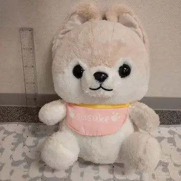 사스케 강아지 봉제 인형 베이지 콩시바 삼형제