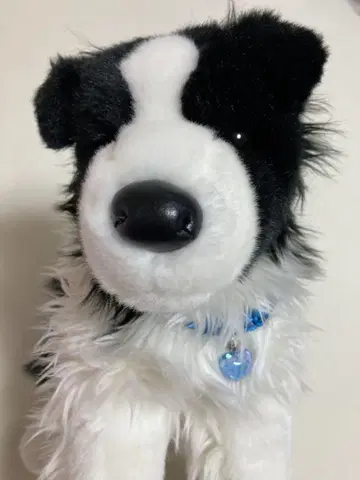 보더콜리 봉제 인형