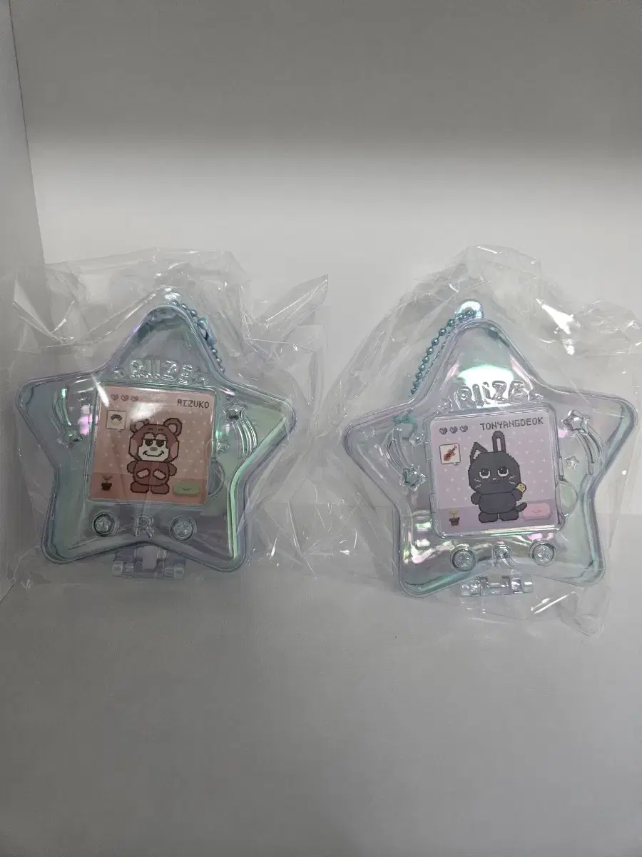 라이즈 랜덤 별케이스