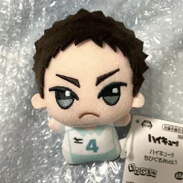 하이큐! 이와이즈미 하지메 SD 인형 봉제 인형