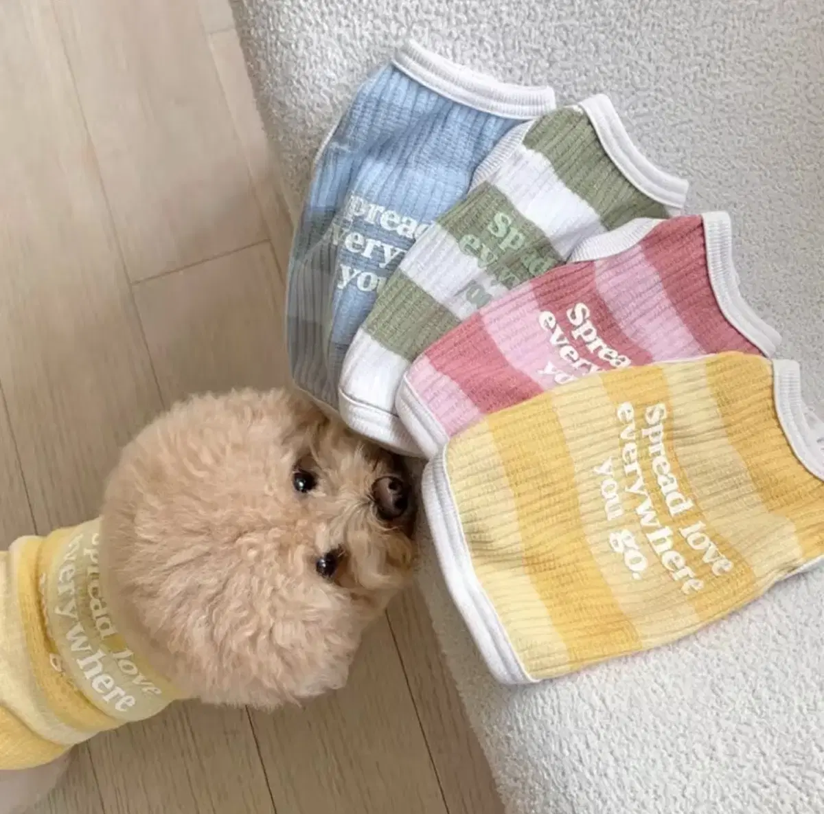Dog T-shirt