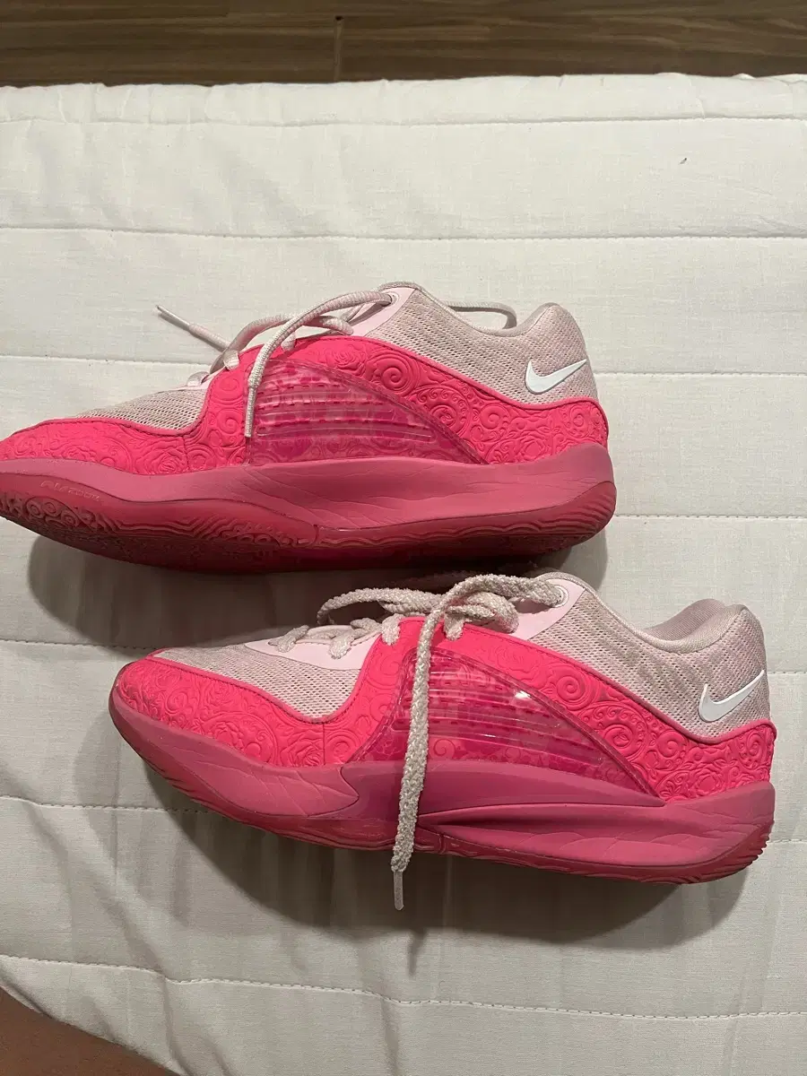 Kd 16 언트펄 농구화 260
