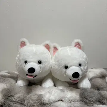 사모예드 강아지 봉제 인형 XL 프리미엄