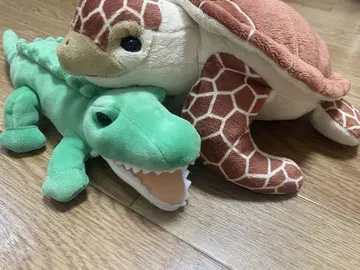 악어와 거북이 봉제 인형 세트 가이유칸