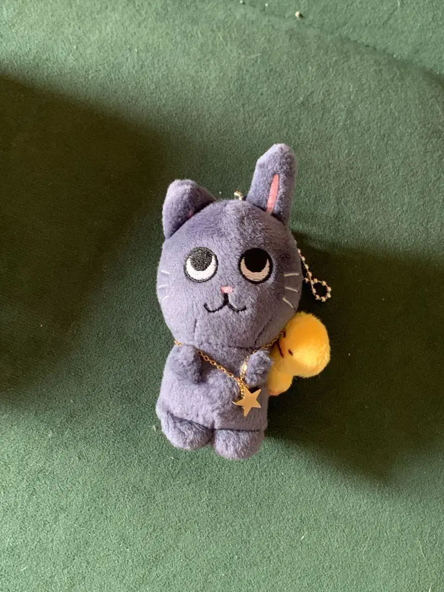 라이즈 원빈 토냥덕 인형