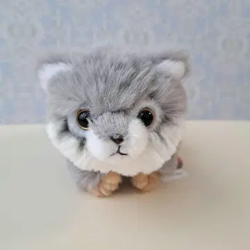 마눌 고양이 봉제 인형 CUTE