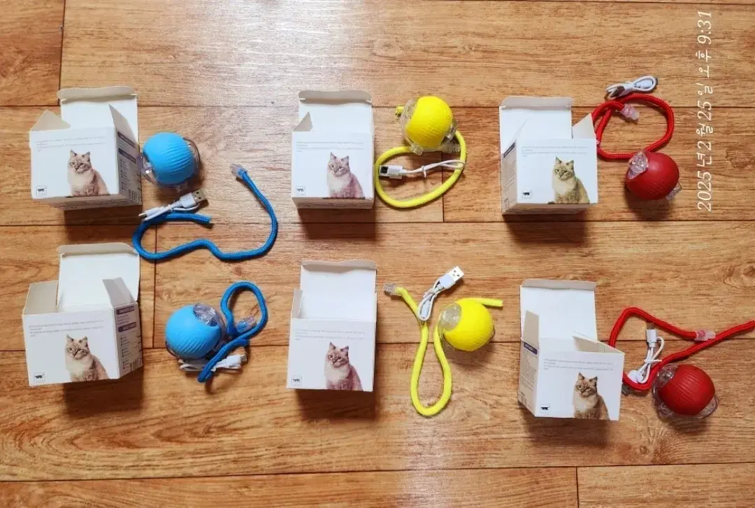 Animated cat and dog toys