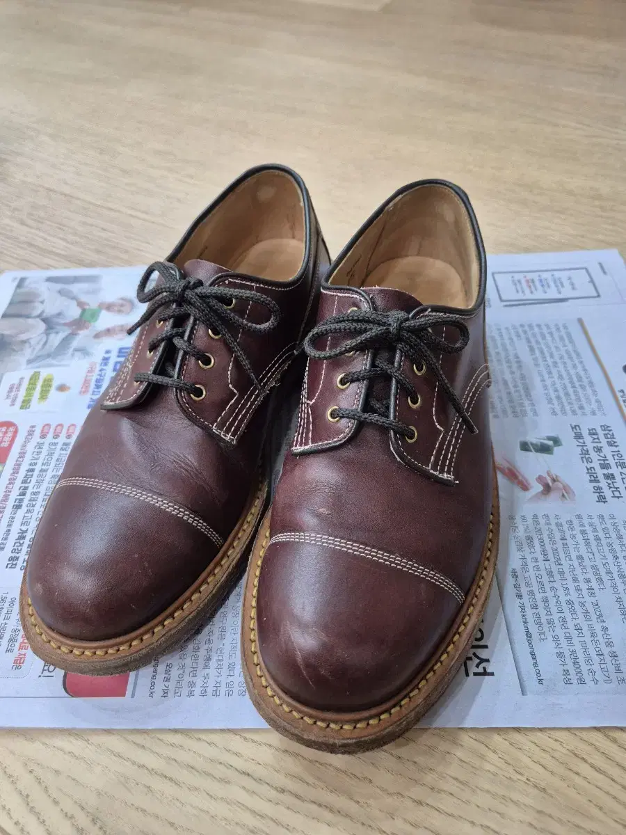 트리커즈 Burgundy Burnished 8180 (7사이즈)