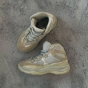 YEEZY 사막화