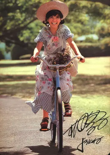 책받침 벚꽃 다카하시 준코 준코 짱 달력 1976