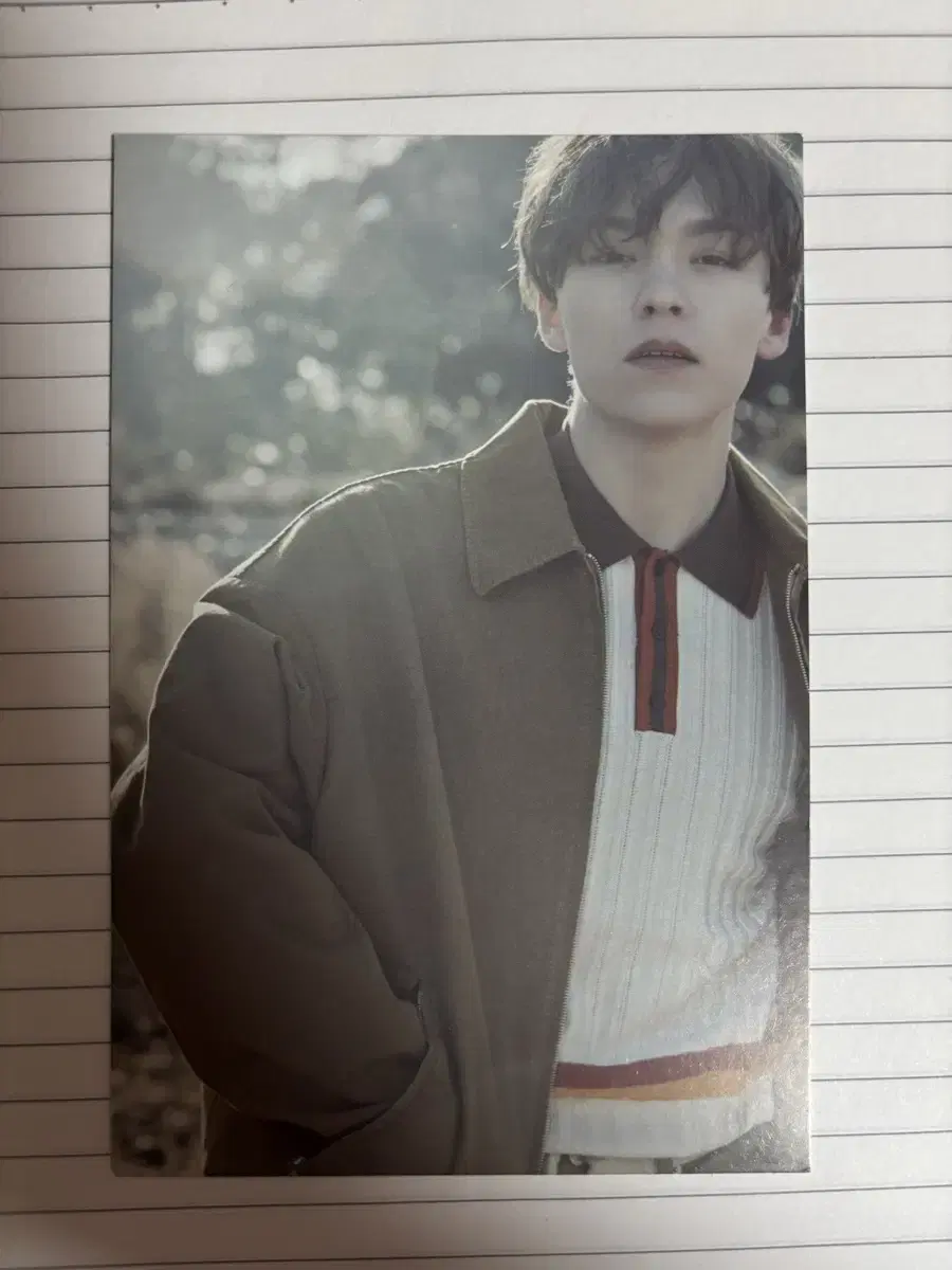 [세븐틴] 정한,디노 포카 & 원우,승관,버논 엽서