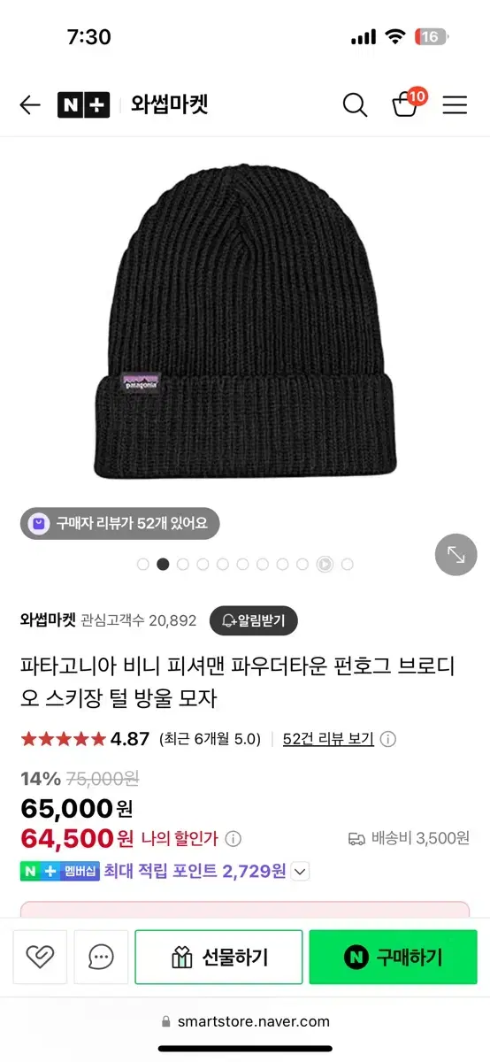 파타고니아 비니