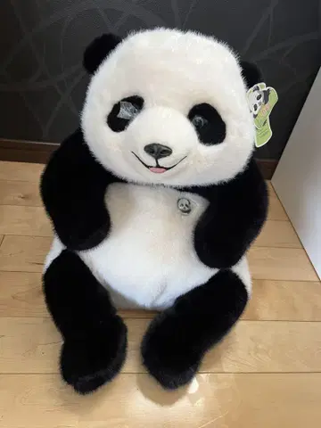 팬더 봉제 인형 리얼 팬더 귀여운