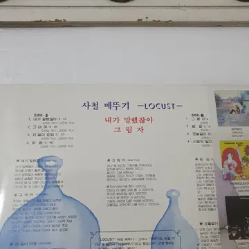 미개봉 사철메뚜기 (로커스트) LP 2018발매반 내가말했잖아