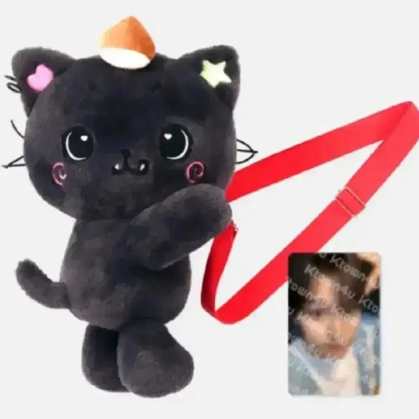 NCT | 엔시티 NCT WISH nct whsi Login md riku 쿠리 doll 가방