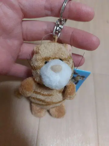 NICI nici 고양이 키링