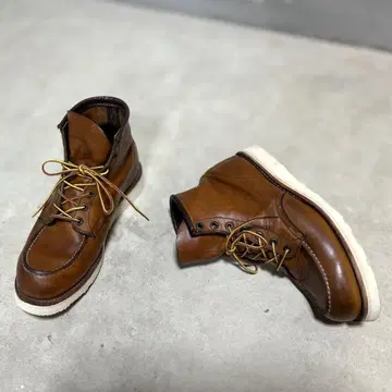 레드윙 REDWING/875 아이리쉬 세터/41