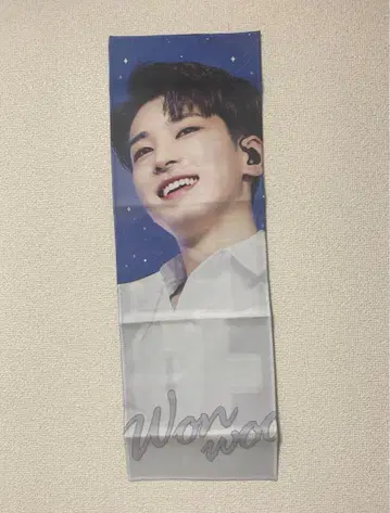 세븐틴 원우 슬로건