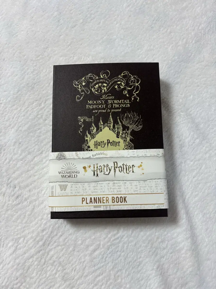 Harry Potter's Hallows Diary