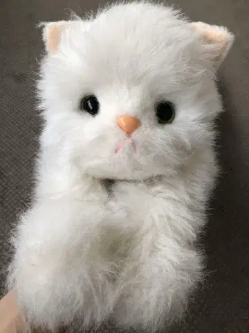 오이케 고양이, 바비 인형, 봉제 인형, 빈티지, 당시 물건