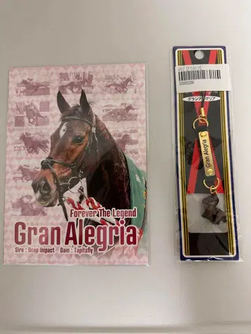 아이돌 호스 그랑 알레그리 스트랩 은퇴 기념 쿠오카