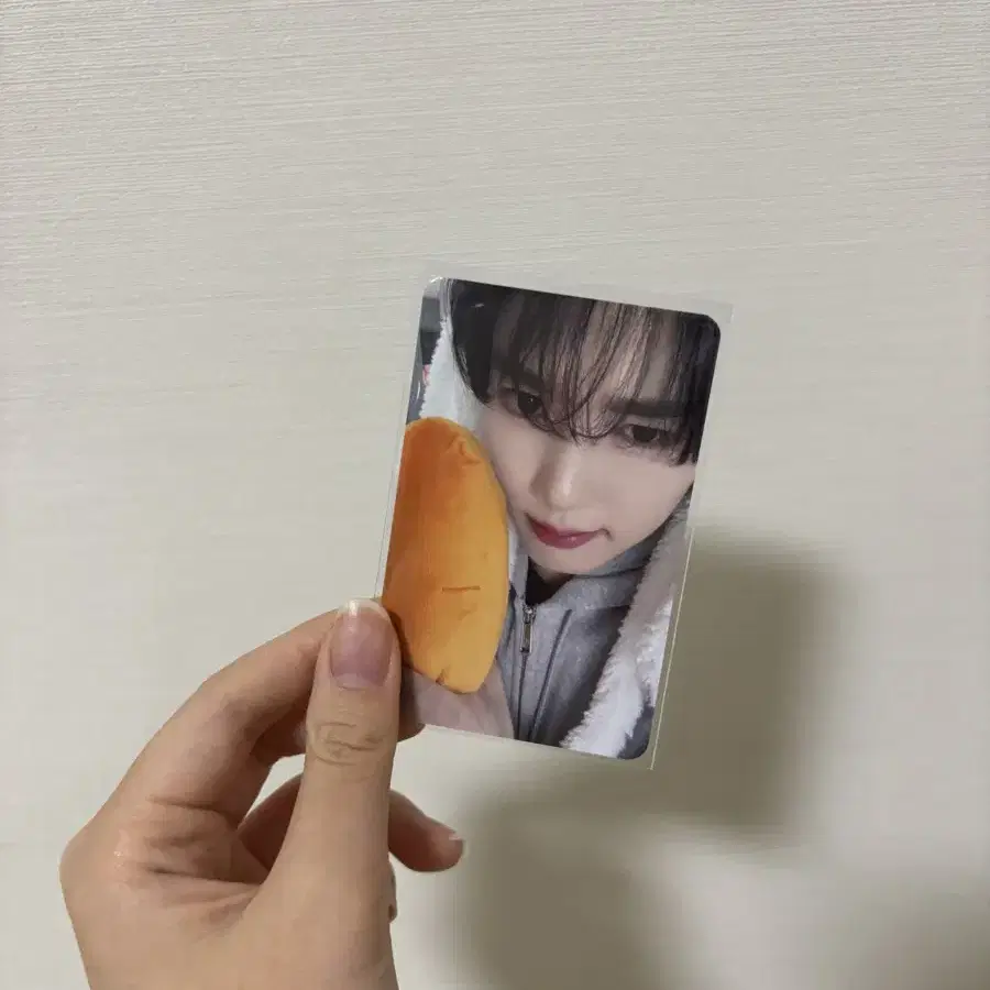 제로베이스원 메이크스타 바니바니 럭드 포카 한유진 양도