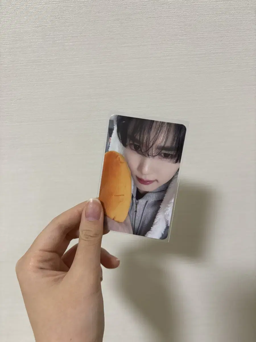 제로베이스원 메이크스타 바니바니 럭드 포카 한유진 양도