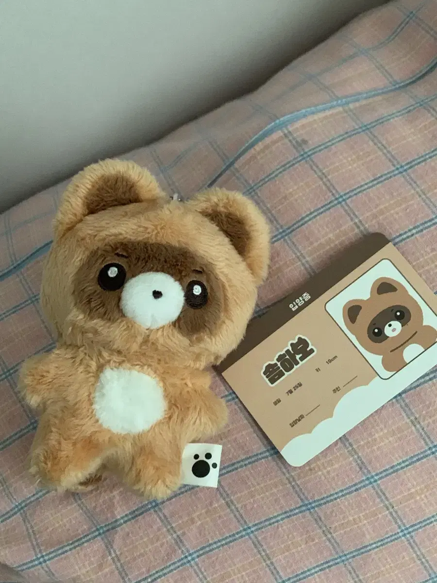 제베원 솜인형 솜하오 장하오 인형