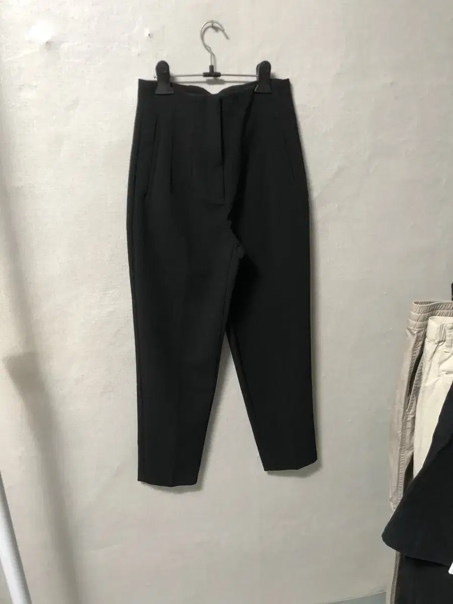 Zara Women's Slacks Size 26