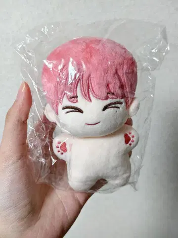 ENHYPEN 선우 봉제 인형 10cm 새상품