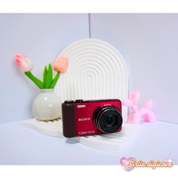 Sony Cyber-shot DSC-HX7V | 일반디카/토이카메라 | 번개장터 중고거래