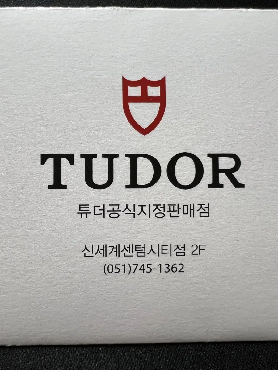튜더 블랙베이 41 청판