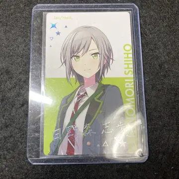 프로세카 에피카 BNW 금박 인쇄 히노 모리시호