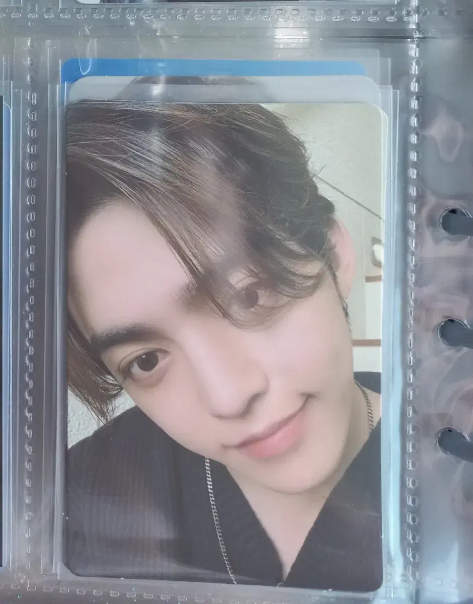 새븐틴 에스쿱스 2024 캐럿랜드 트레카 셀포 양도