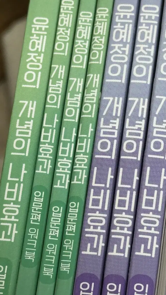 윤혜정의 개념의 나비효과