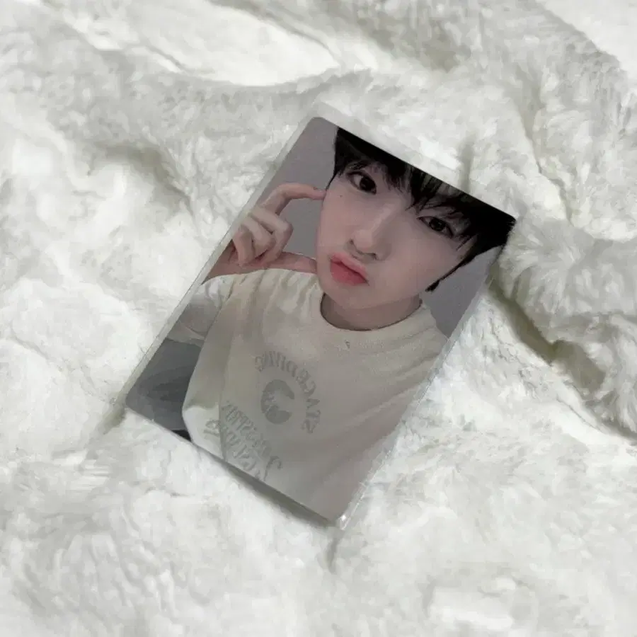 엔시티 위시 사쿠야 엠투유 포카