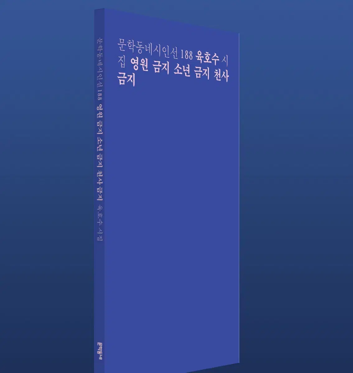 문학동네시인선 시집 영원금지 소년금지 천사금지 육호수 책 옥토 추천 도서