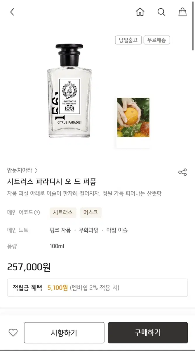 안눈치아타 시트러스 파라디시 100ml