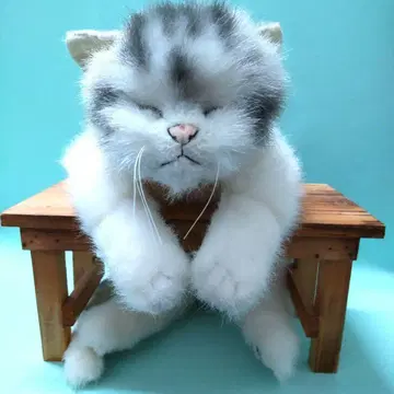 SHIKI 오리지널 봉제 인형 일본제 리얼 고양이 사계절