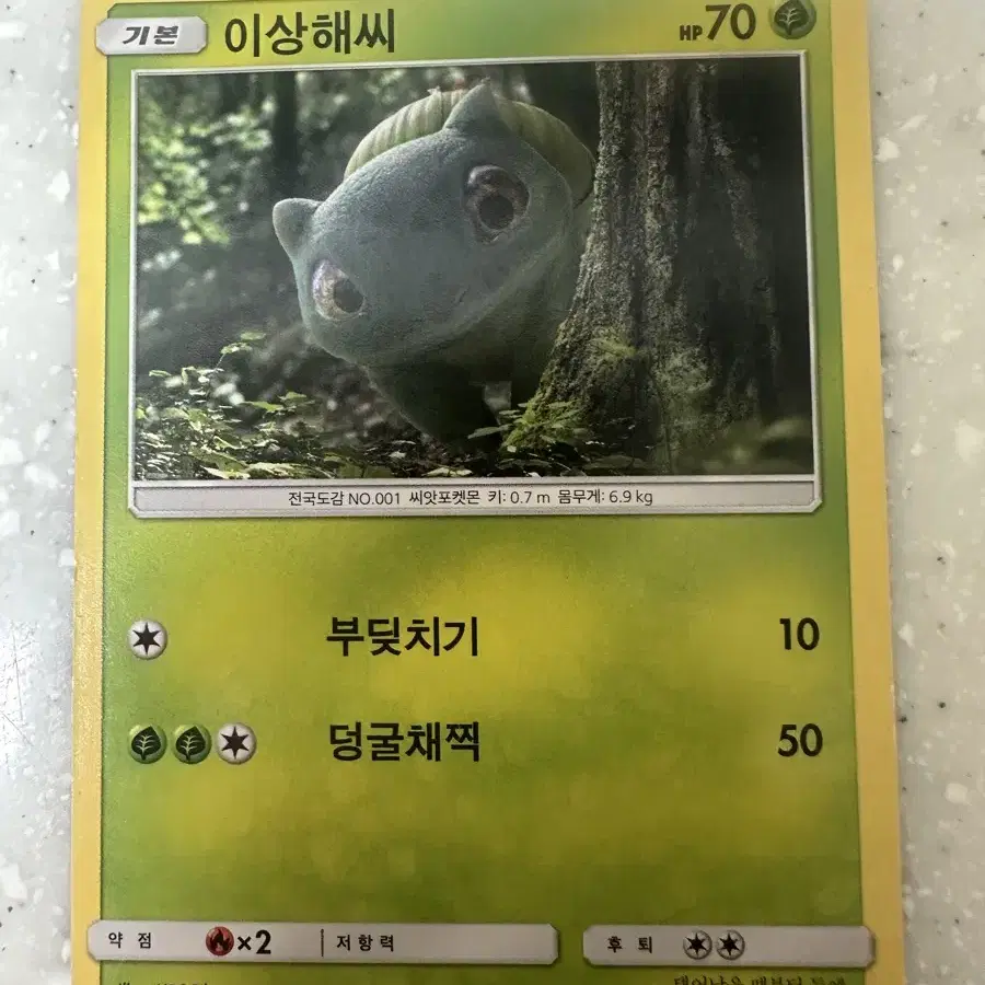 포켓몬카드 이상해씨