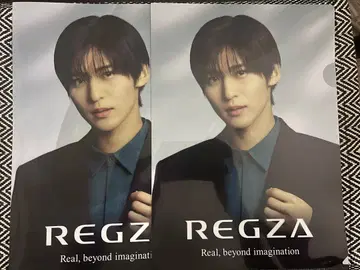 메구로 렌 REGZA 클리어 파일 2장 세트