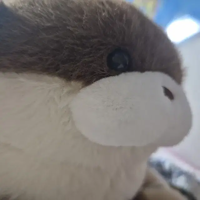무속성 솜인형 예약