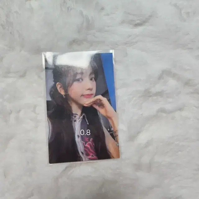 카리나  포카