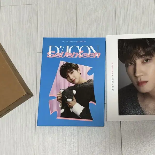 세븐틴 원우 디아이콘